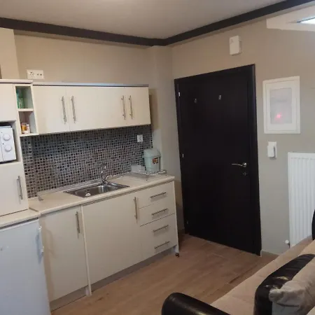 Studiο_loft Apartament Leptokarya (Pieria)